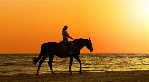 Sunset Beach Horse-Riding Adventure in San Diego in San Diego: Book Tours & Activities at Peek.com