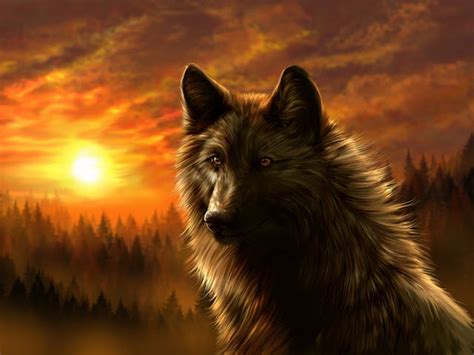 Dark Wolf Wallpaper - Best HD Wallpapers