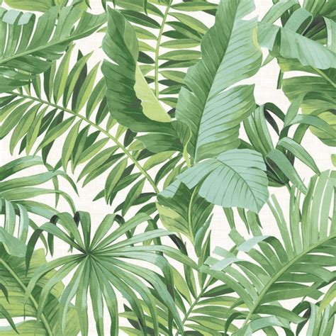 Baja Green Palm Jungle Tropical Leaf Wallpaper Brokers Melbourne Stock Store