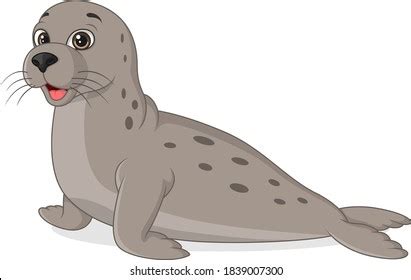 Cartoon Funny Seal On White Background Stock Vector (Royalty Free ...