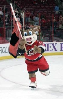 Stormy with the Carolina Hurricanes! | Carolina hurricanes, Hurricanes ...