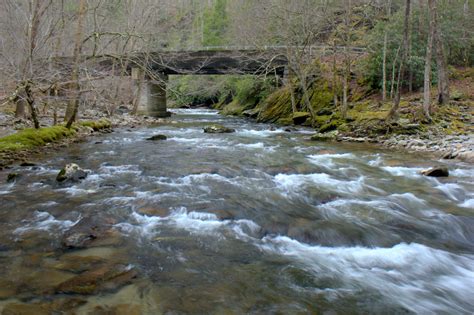 Fly Fishing Little River in the Great Smoky Mountains National Park