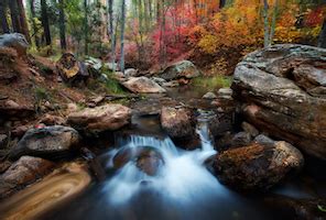 Tonto Basin, Arizona - Discount Hotels