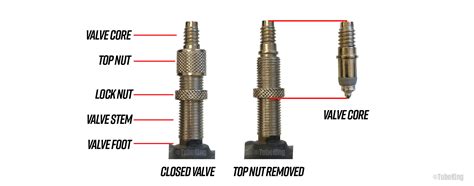 Bicycle Tube Valve Types | atelier-yuwa.ciao.jp