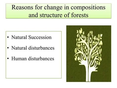 Forestation | PPT