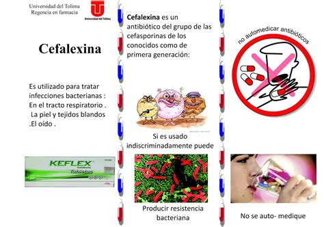 EDUCACIÓN PARA LA SALUD: SEMINARIO 4