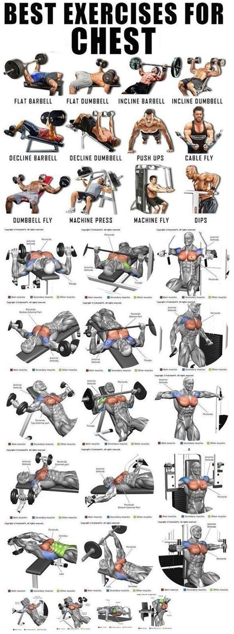 Best Chest Workout: Build Your Pecs with These Effective Exercises