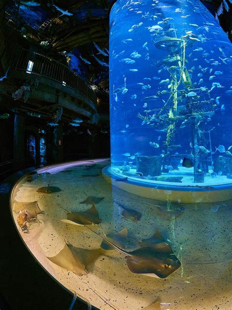 Wonders of Wildlife: National Museum & Aquarium - KC Parent Magazine