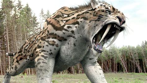 Top ten biggest animals that are extinct | City Of