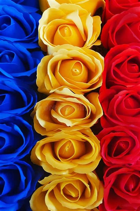 Red Roses On A Flag stock photo. Image of patriotism - 12956470