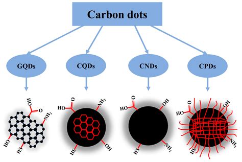 Nanomaterials | Free Full-Text | Physiological Functions of Carbon Dots and Their Applications ...