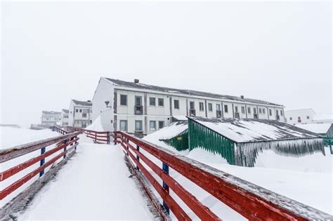 Premium Photo | White inuit living blocks on the street after heavy ...