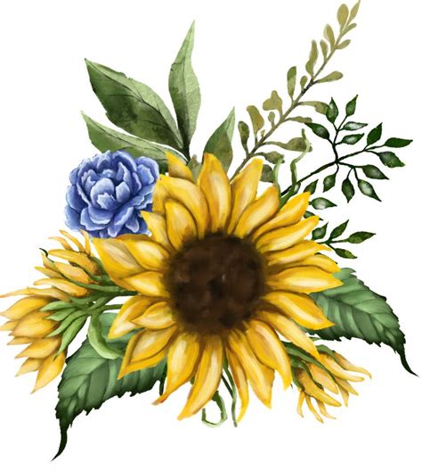 Watercolor sunflower clipart, sunflower designs for invitation, wedding, bridal shower, baby ...