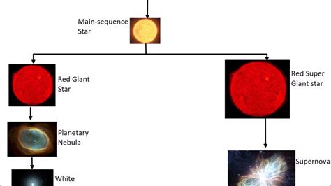 Life Cycle Of A Star Protostar