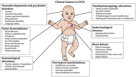 IJMS | Free Full-Text | Neuroinflammation and Oxidative Stress in Individuals Affected by ...