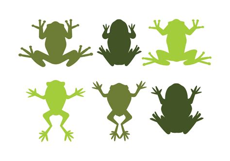 Green Tree Frog Vectors - Download Free Vector Art, Stock Graphics & Images