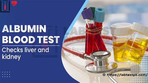 Albumin Blood Test