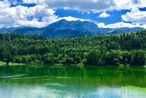 Alpbach in Summer: the Prettiest Village in Austria | Welove2ski