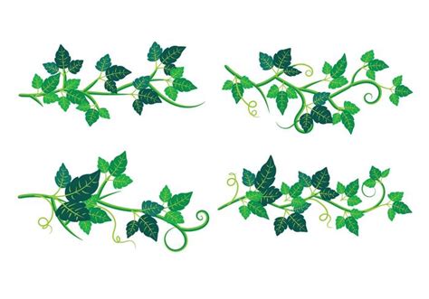 poison ivy clip art 10 free Cliparts | Download images on Clipground 2024