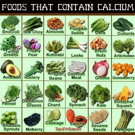 Dietary Sources of Calcium | Georgia Public Broadcasting