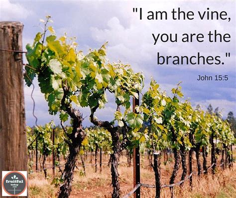 I am the vine, you are the branches._(1)