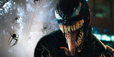 Tom Hardy’s Venom Gets A Spider Named After Them That’s Neither ...