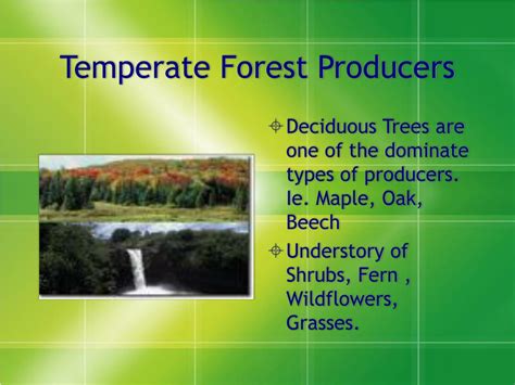 PPT - Biomes Part III PowerPoint Presentation, free download - ID:1721826