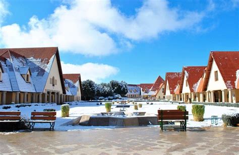 a row of houses with snow on the ground and benches near them in front of them