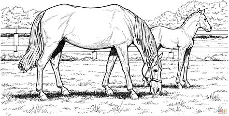 Realistic Printable Horse Coloring Pages