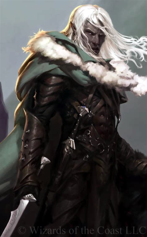 Drizzt Do'Urden | Heroes Wiki | Fandom