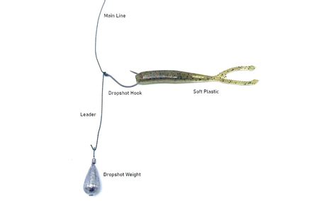 How to Rig & Fish a Drop Shot