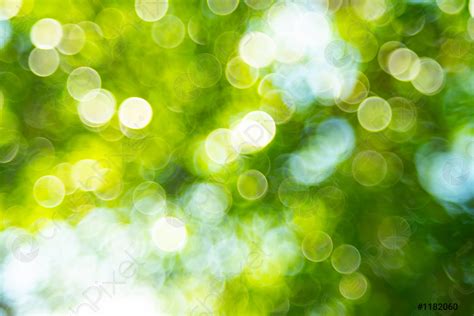 Details 100 green bokeh background - Abzlocal.mx