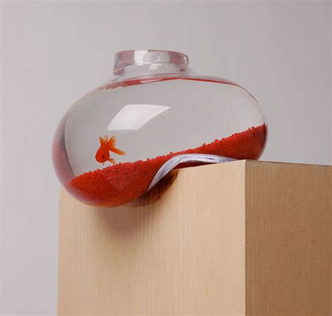 If It's Hip, It's Here (Archives): Fish On The Edge. The Bubble Tank by ...