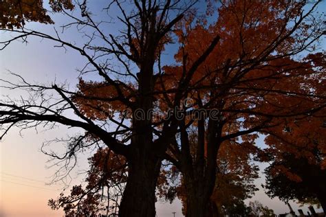 October Fall Colors in Maple Grove Cemetery Evansville Wisconsin Stock Image - Image of october ...