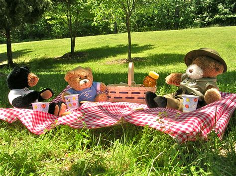 File:LE - Teddy Bear Picnic (5884967088) (2).jpg - Wikimedia Commons