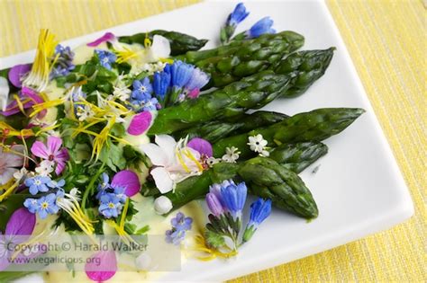 Asparagus with Saffron Sauce and Edible Flower Garnish – Vegalicious Recipes