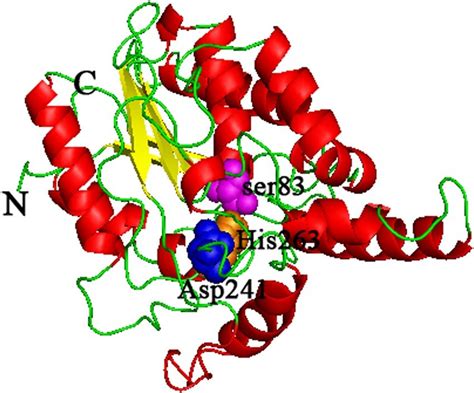 3D model of Pflip1. The α-helix, β-sheet, random coil and beta turn are ...