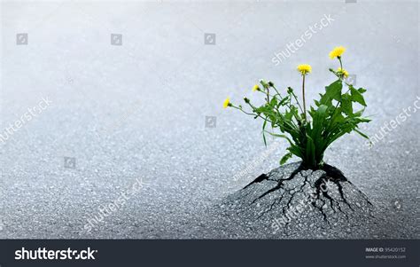 187 Unstoppable force Images, Stock Photos & Vectors | Shutterstock