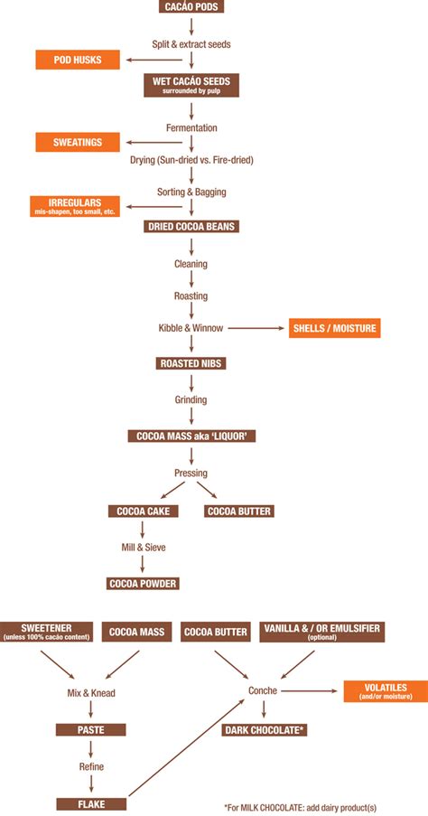 Chocolate Processing Flowchart | the C-spot