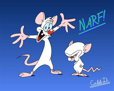 Animaniacs - Pinky and the Brain by CalebDoerksen20 on DeviantArt