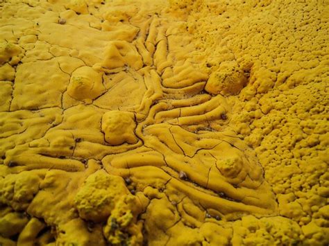 Premium Photo | Texture of a dried yellow paint on a wood
