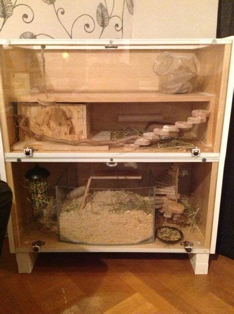 22 Gerbil fun ideas | gerbil, gerbil cages, hamster cages