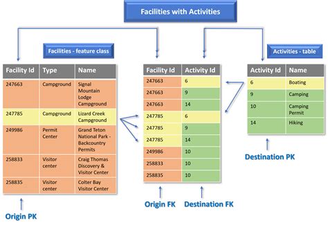 Explore a many-to-many relationship class