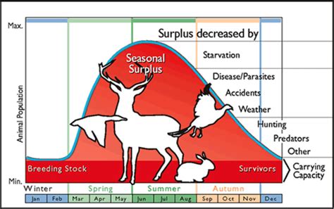 Carrying Capacity - Ecology 4