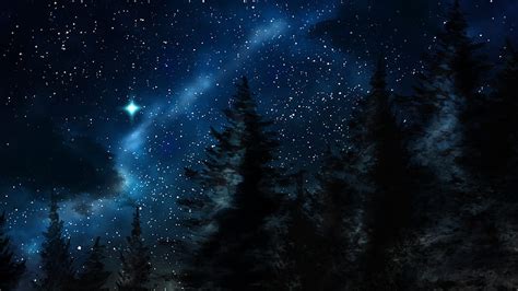 Night, blue, sky, stars, forest, silhouette, dark HD wallpaper | Pxfuel