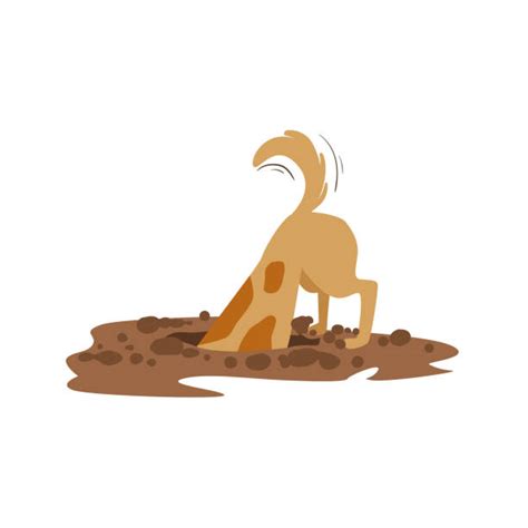 Dog Hole Illustrations, Royalty-Free Vector Graphics & Clip Art - iStock