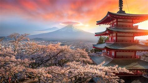 Sakura Japan Photo Tour | Beautiful views, Photography tours, Tour ...