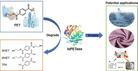 IsPETase Is a Novel Biocatalyst for Poly(ethylene terephthalate) (PET) Hydrolysis - Kan - 2021 ...