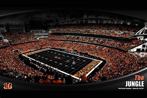 Cincinnati Bengals Desktop Wallpapers - Wallpaper Cave