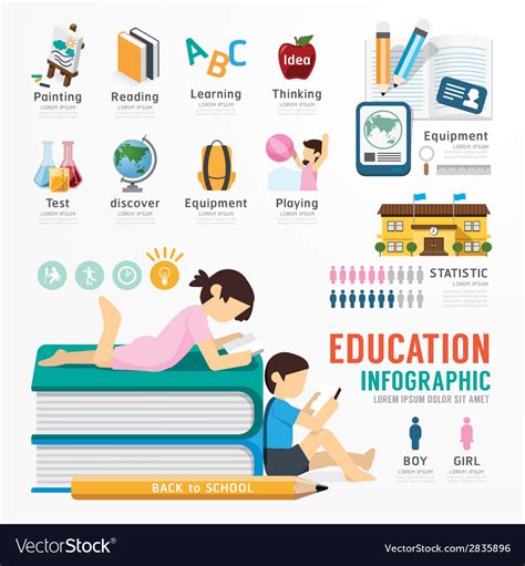 Infographic Education Template Design Concept Vector Image